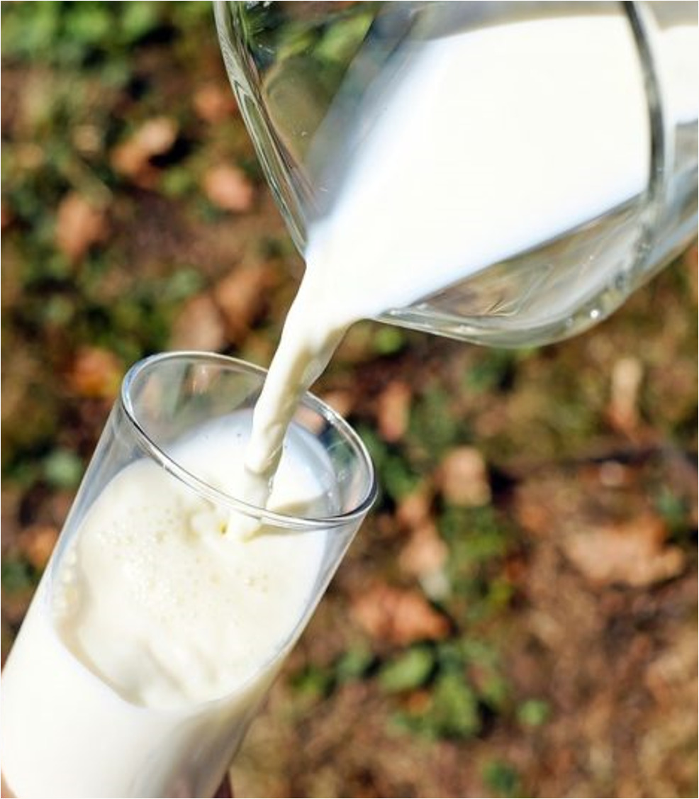 Raw goat's milk.