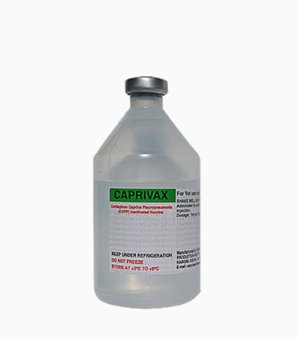 Ccpp Sion Contagious Caprine Pleuropneumonia CCPP Vaccine 100 Doses - ROVA ...