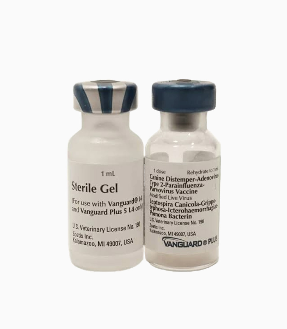 DHLP-Vaccine DHLP Vaccine 1 Dose - Image 1
