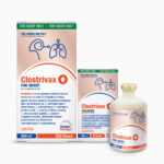 Enterotoxaemia Vaccine 50 Doses