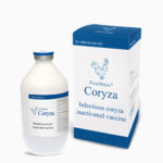 Infectious Coryza Disease Vaccine 200 Doses