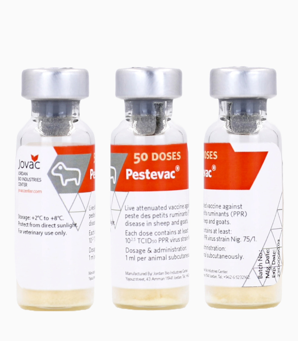 PPR-Vaccine-4 Peste des Petits Ruminants PPR Vaccine 50 Doses - Image 1