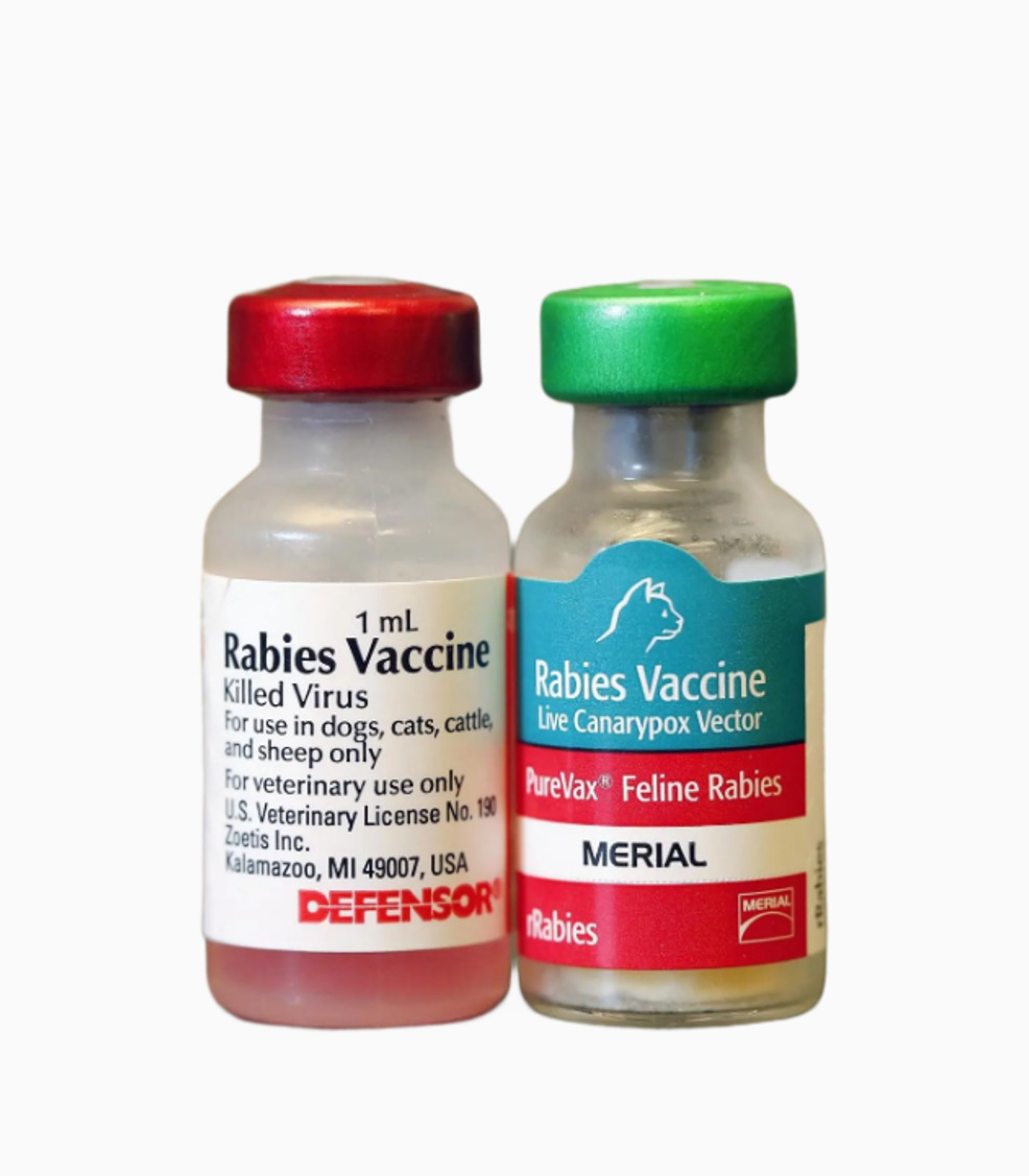 Rabies-Vaccine-1A Rabies Disease Vaccine 1 Dose - Image 1