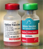 Rabies Disease Vaccine 1 Dose - Image 5